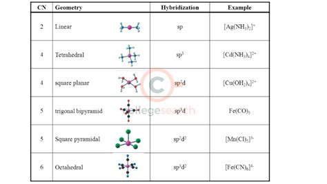 hybridization of xef4|types of hybridization in chemistry.